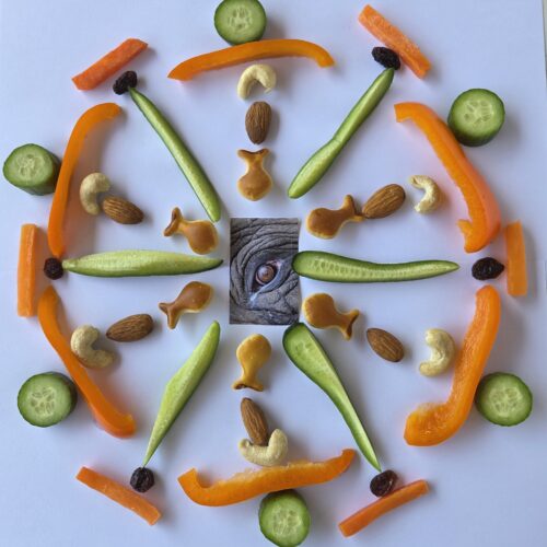 Essbares Mandala