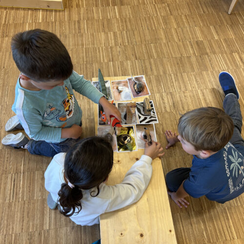 Kinder ordnen Tiere zu Augen zu