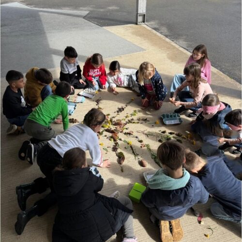 Kinder legen mit Naturmaterial ein Mandala