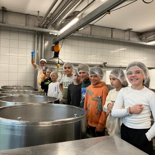 Kinder in der Käserei