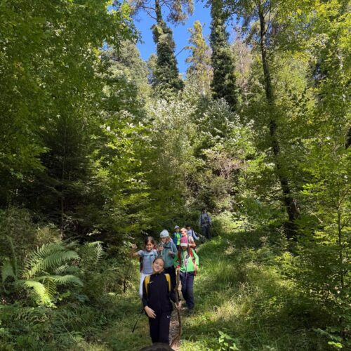 Kinder wandern durch den Wald