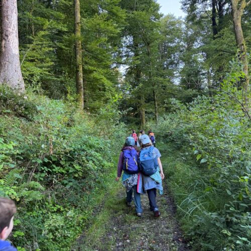 Gruppe wandert nach Hause